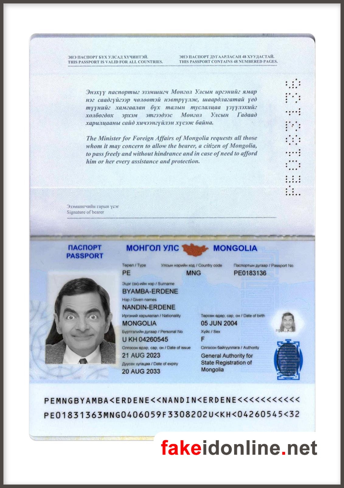 Mozambique Passport PSD Template